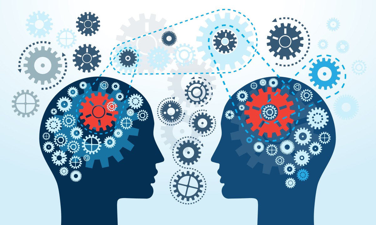 Neurociencia Organizacional